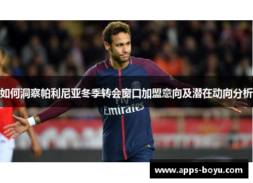 如何洞察帕利尼亚冬季转会窗口加盟意向及潜在动向分析