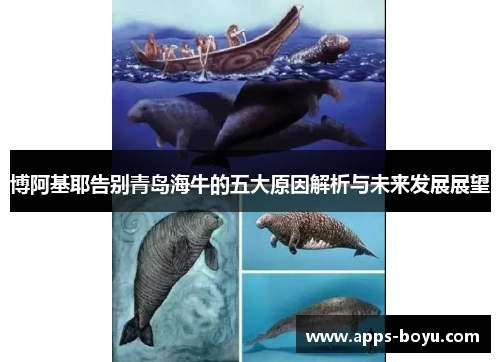 博阿基耶告别青岛海牛的五大原因解析与未来发展展望
