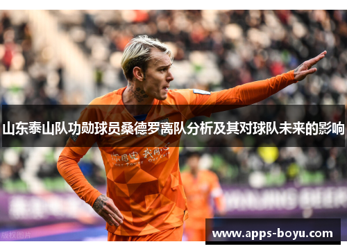 山东泰山队功勋球员桑德罗离队分析及其对球队未来的影响