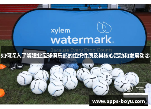 如何深入了解建业足球俱乐部的组织性质及其核心活动和发展动态