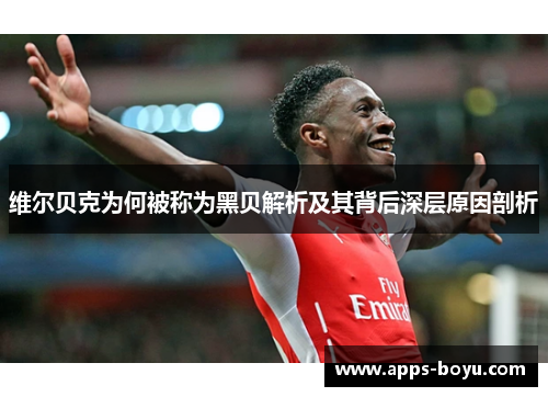 维尔贝克为何被称为黑贝解析及其背后深层原因剖析 维尔贝克为何被称为黑贝解析及其背后深层原因剖析
